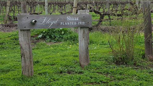 Information sign on wooden post