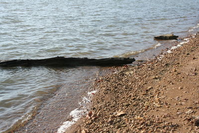 Scenic view of beach