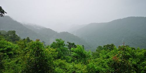 Scenic view of forest and mountains against sky