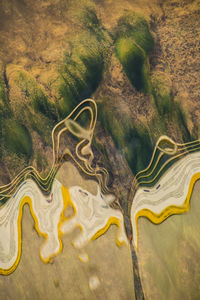 High angle view of abstraction - fluids and moss