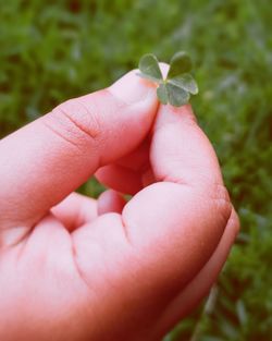 Close-up of hand holding small plant