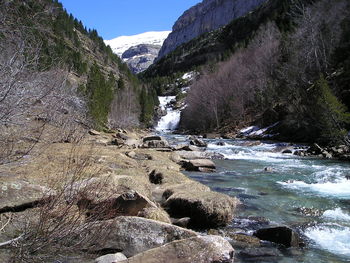 Scenic view of river stream amidst trees