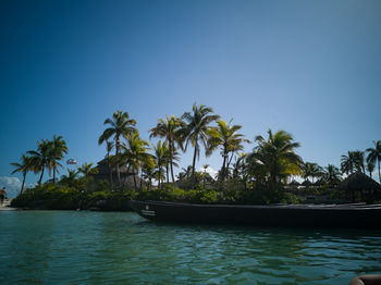 Scenic view of palm trees by sea against clear blue sky