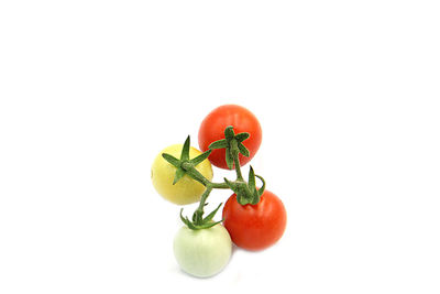 tomato