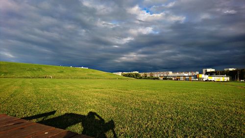 Scenic view of field against sky