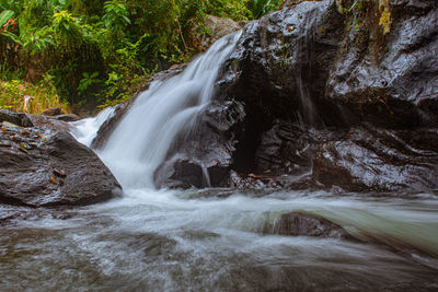 Scenic view of waterfall in forest