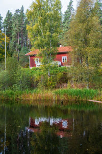 Scenic view of lake amidst trees and plants in forest