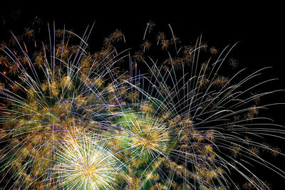 Low angle view of firework display against sky at night