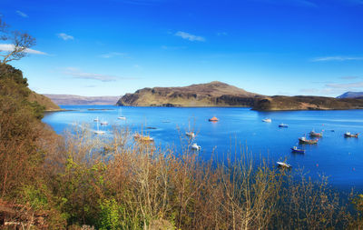 Scenic view of sea against blue sky