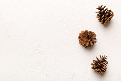 Pine cones on colored table. natural holiday background with pinecones grouped together. flat lay. 