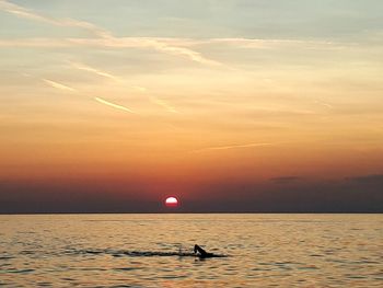 Silhouette person in sea against sky during sunset