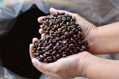 Cropped hand holding coffee beans