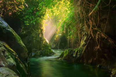 Beautiful morning view at the stone tunnel waterfall in indonesia's tropical forest