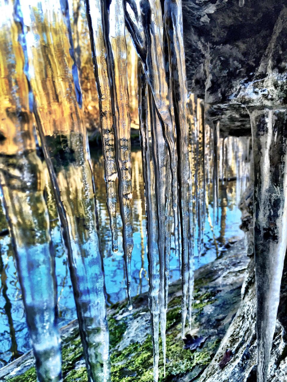 tree trunk, water, tree, wood - material, nature, reflection, tranquility, day, beauty in nature, outdoors, no people, tranquil scene, sunlight, growth, forest, ice, lake, icicle, cold temperature, winter