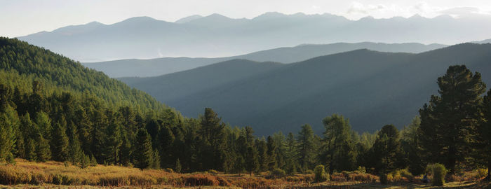 Scenic view of trees and mountains against sky