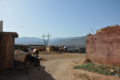 View of horse cart against sky