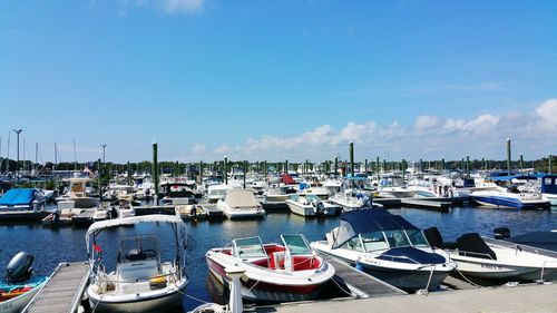 Boats moored at harbor