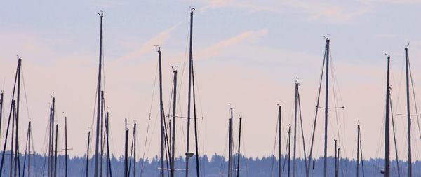 Panoramic view of sky