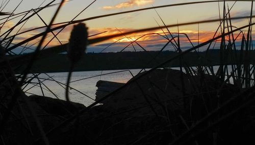 Scenic view of sea at sunset