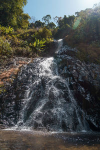 Scenic view of waterfall in forest