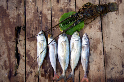 High angle view of fish on wood