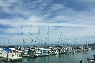 Sailboats moored at harbor against sky