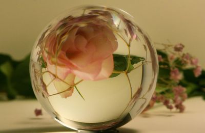 Close-up of christmas ornament on glass table