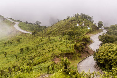 Scenic view of road amidst trees against sky