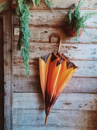 Close-up of wooden plank