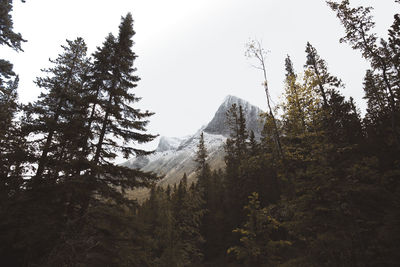 Scenic view of mountains during winter against sky