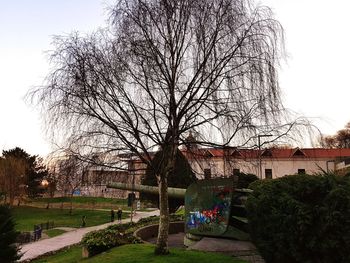 Bare tree in city against clear sky