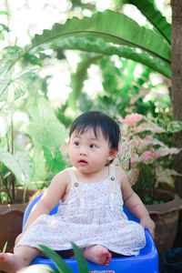 Portrait of cute girl sitting on chair