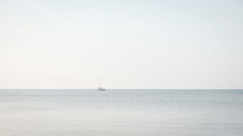 Sailboat sailing on sea against clear sky