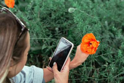 A woman photographs a poppy flower with a close-up on her smartphone in the spring