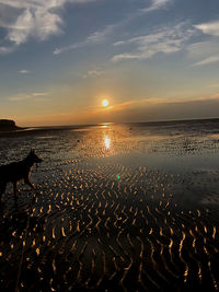 Scenic view of beach against sky during sunset