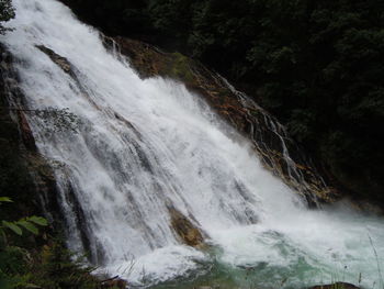 Scenic view of waterfall in forest