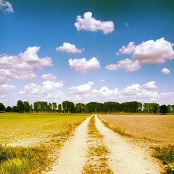 Dirt road passing through field