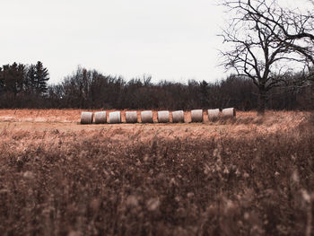 Hay bales on field against clear sky