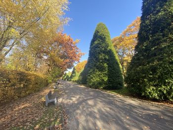 Road amidst trees against sky during autumn