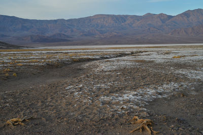 View of a mountain range