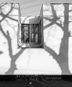 Close-up of shadow against the sky