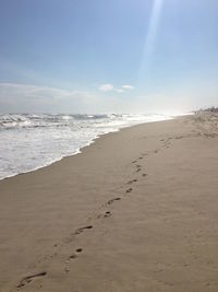 Scenic view of beach