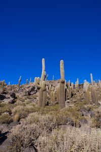 Low angle view of rock formations against clear blue sky