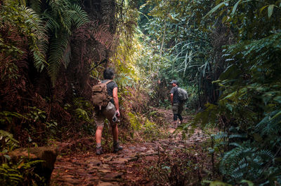 Rear view of people walking in forest