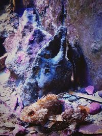 Close-up of rock formation in cave