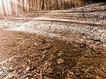 Full frame shot of agricultural landscape