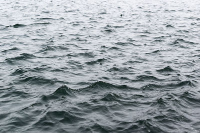 Full frame shot of rippled water