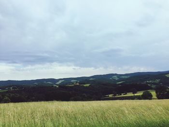 Scenic view of field against sky