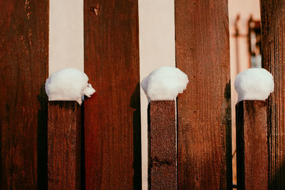 Close-up of a snow on wooden fence