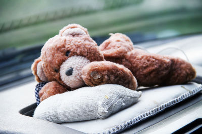 Close-up of teddy bear in car